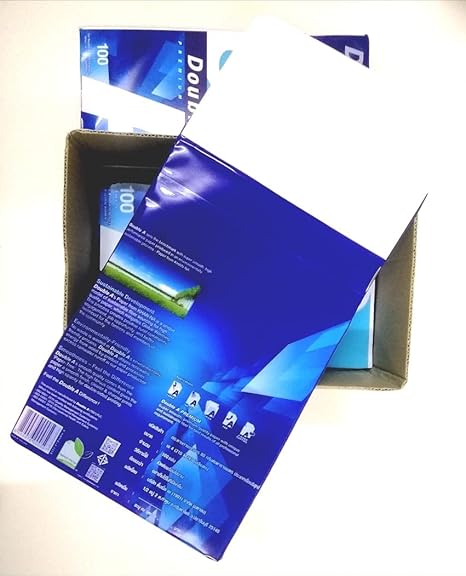 A4 Size Premium Printer Paper - Great for Printing Professional Documents - 21 lb - 8.3" x 11.7" (100 Sheets, White)